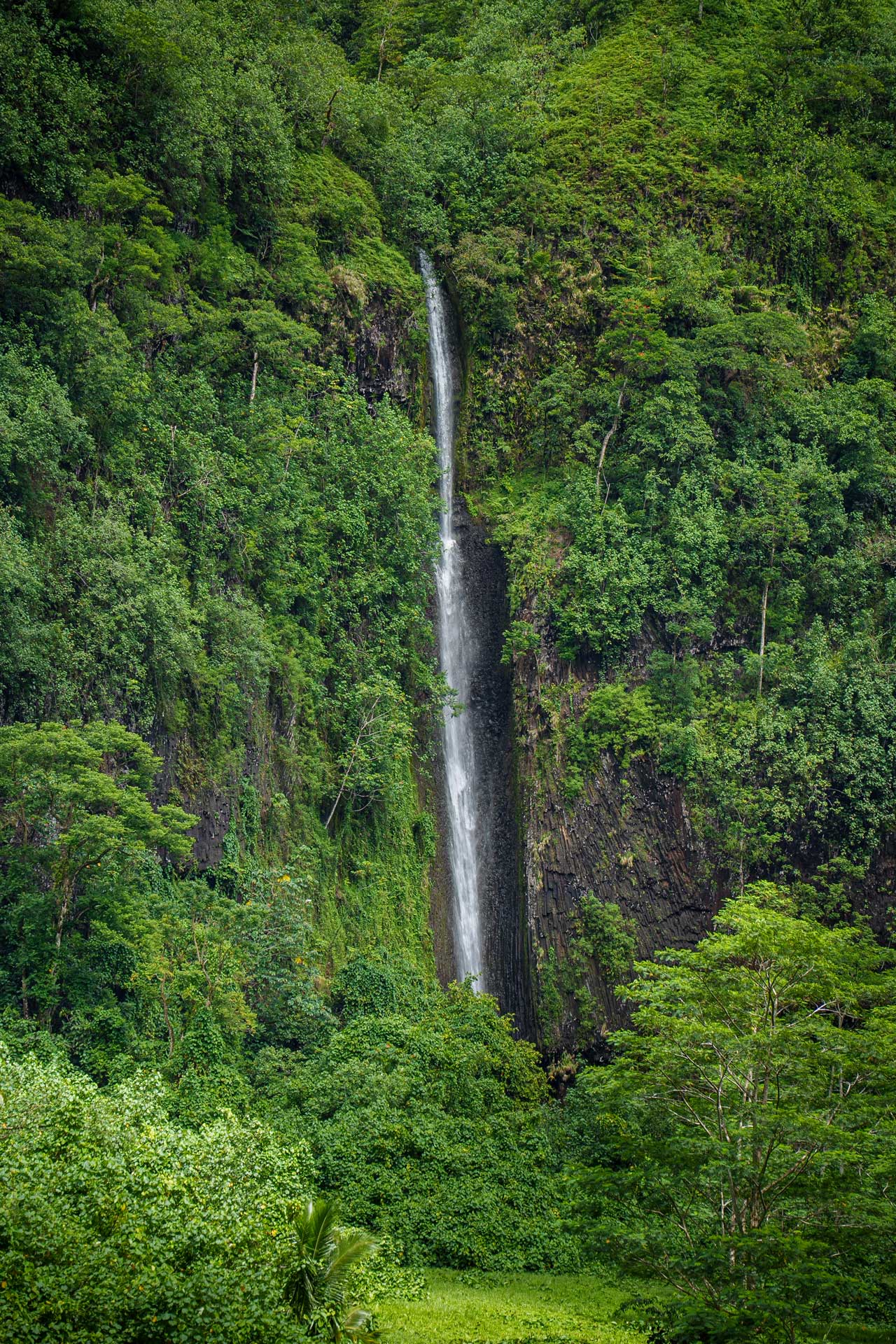 Cascade dans la falaise
