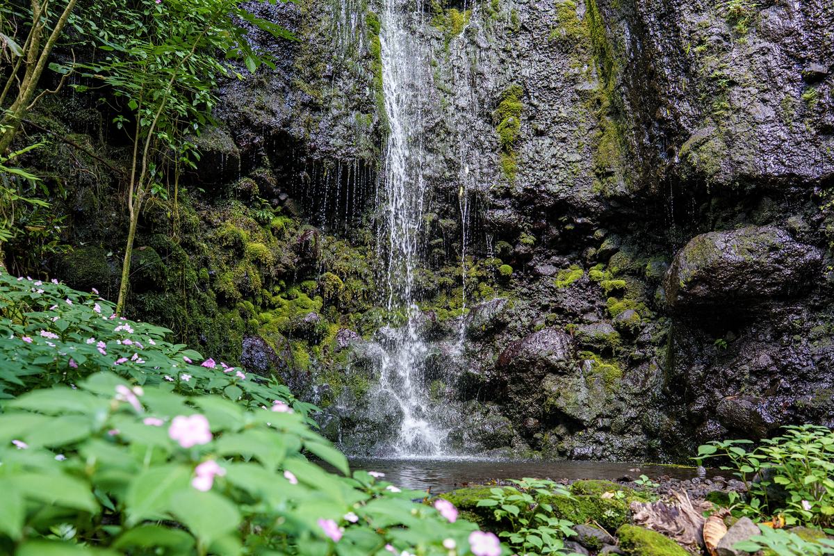 Cratère volcanique & cascades